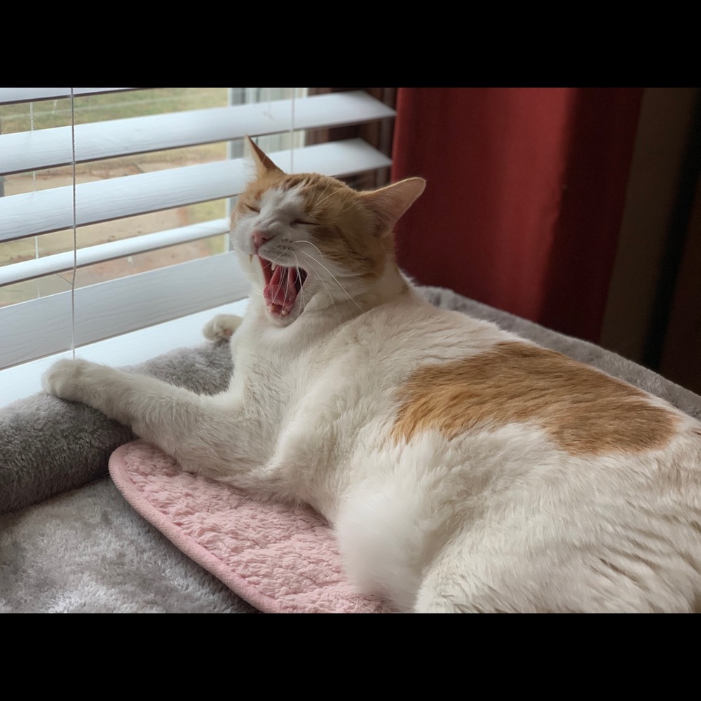 Meet your Posher, Margaret